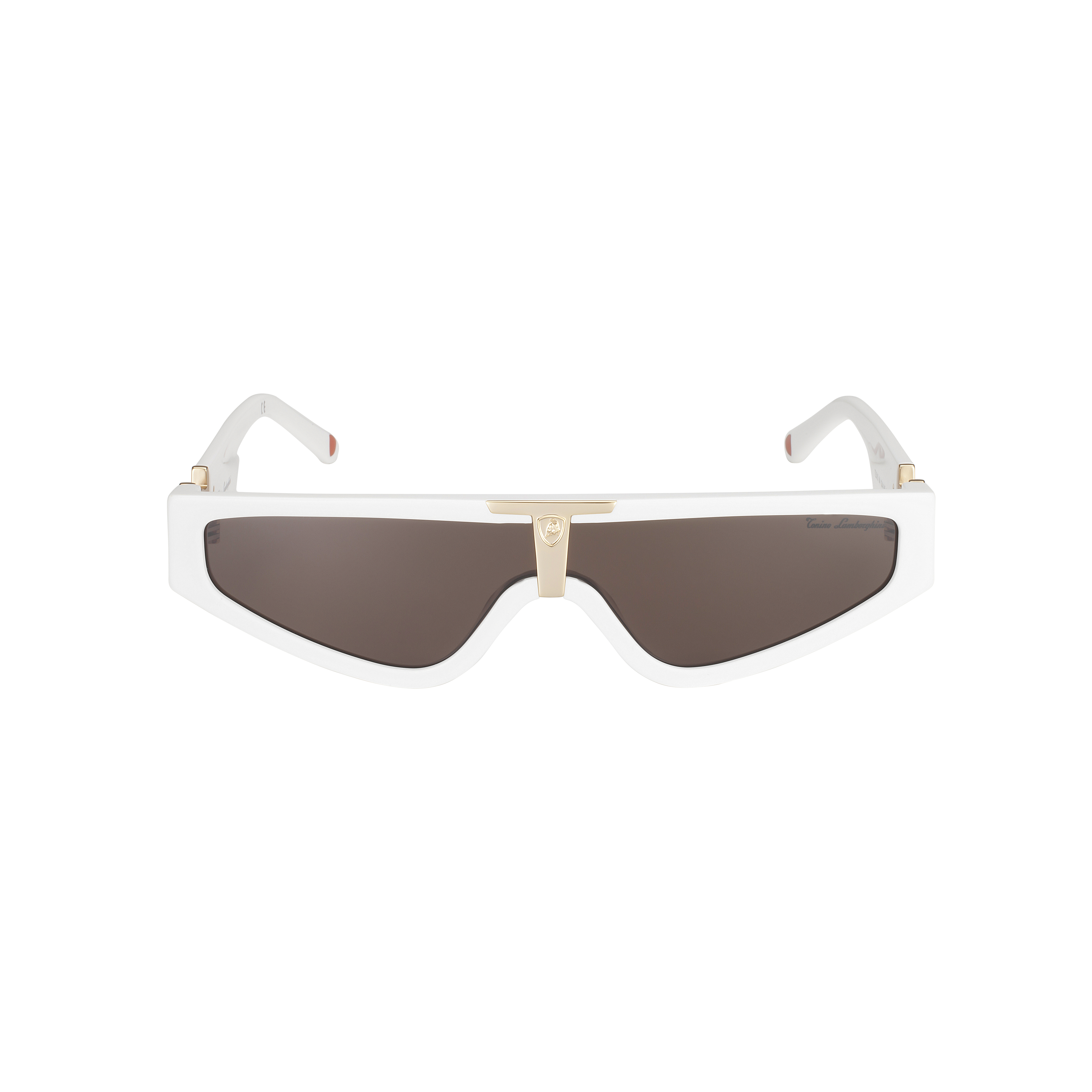 Bold Bull Sunglasses