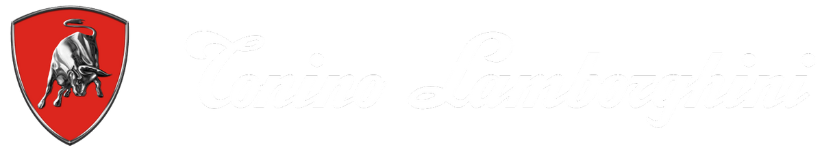 Tonino Lamborghini Spa logo